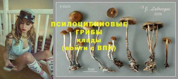 а пвп мука Баксан