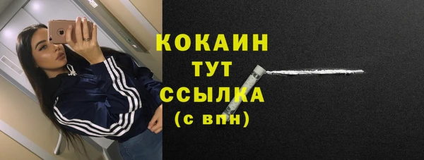 трава Белокуриха