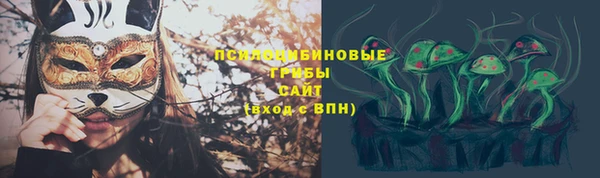 трава Белокуриха