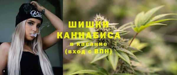 шишки Беломорск