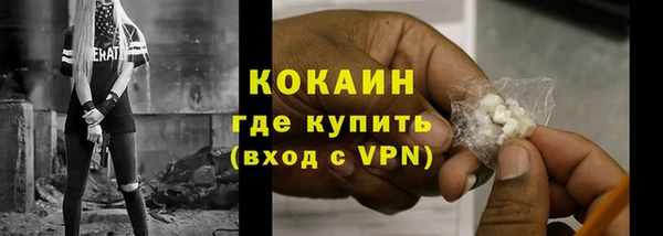 трава Белокуриха