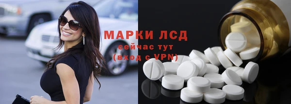 шишки Беломорск