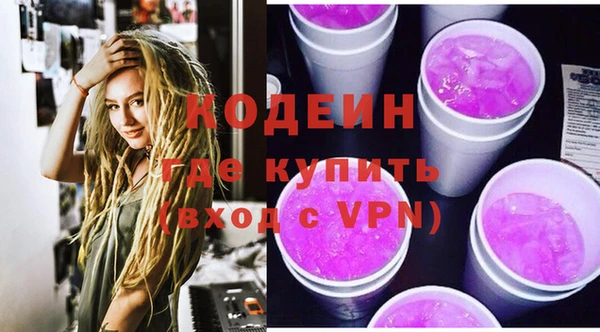 шишки Беломорск
