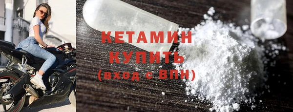 трава Белокуриха