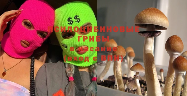 шишки Беломорск