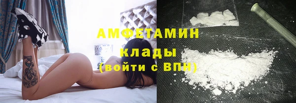 шишки Беломорск