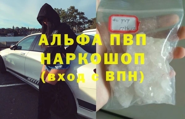 трава Белокуриха