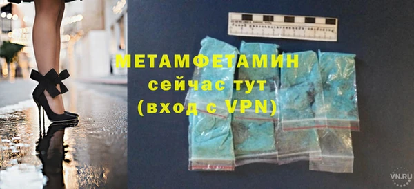 шишки Беломорск