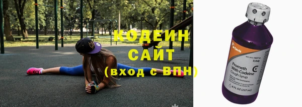 трава Белокуриха