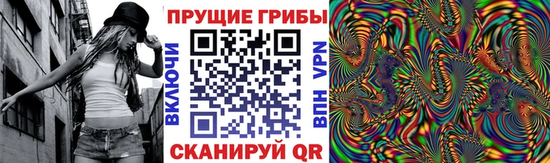 ссылка на мегу зеркало  Козельск  Галлюциногенные грибы Cubensis 